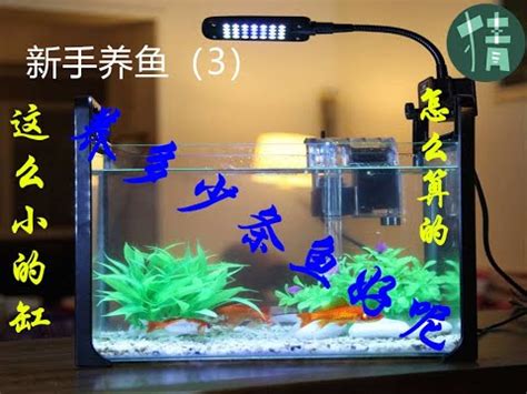 魚缸魚數量計算|如何計算魚缸魚數量